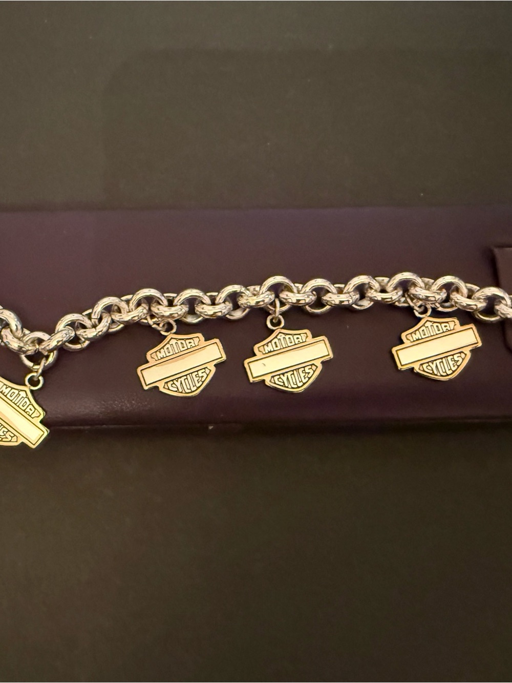 Motorcycle Style Shield Charm Bracelet in Silver and Gold Tones 8”